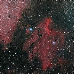 nebulosa-Pelicano nebulosa-Pelicano