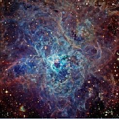 nebulosa-Tarântula nebulosa-Tarântula